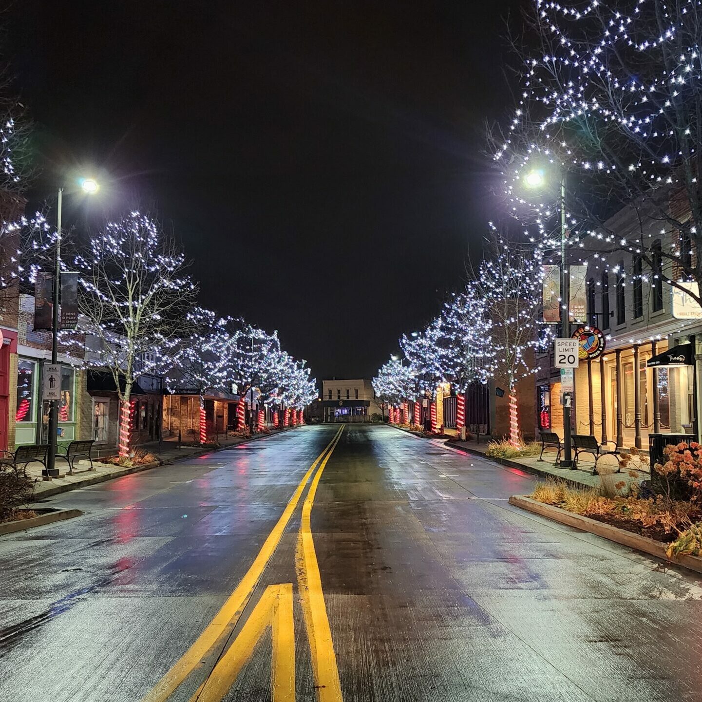 Uptown Normal Holiday Christmas lights Uptown Normal Holiday Christmas lights